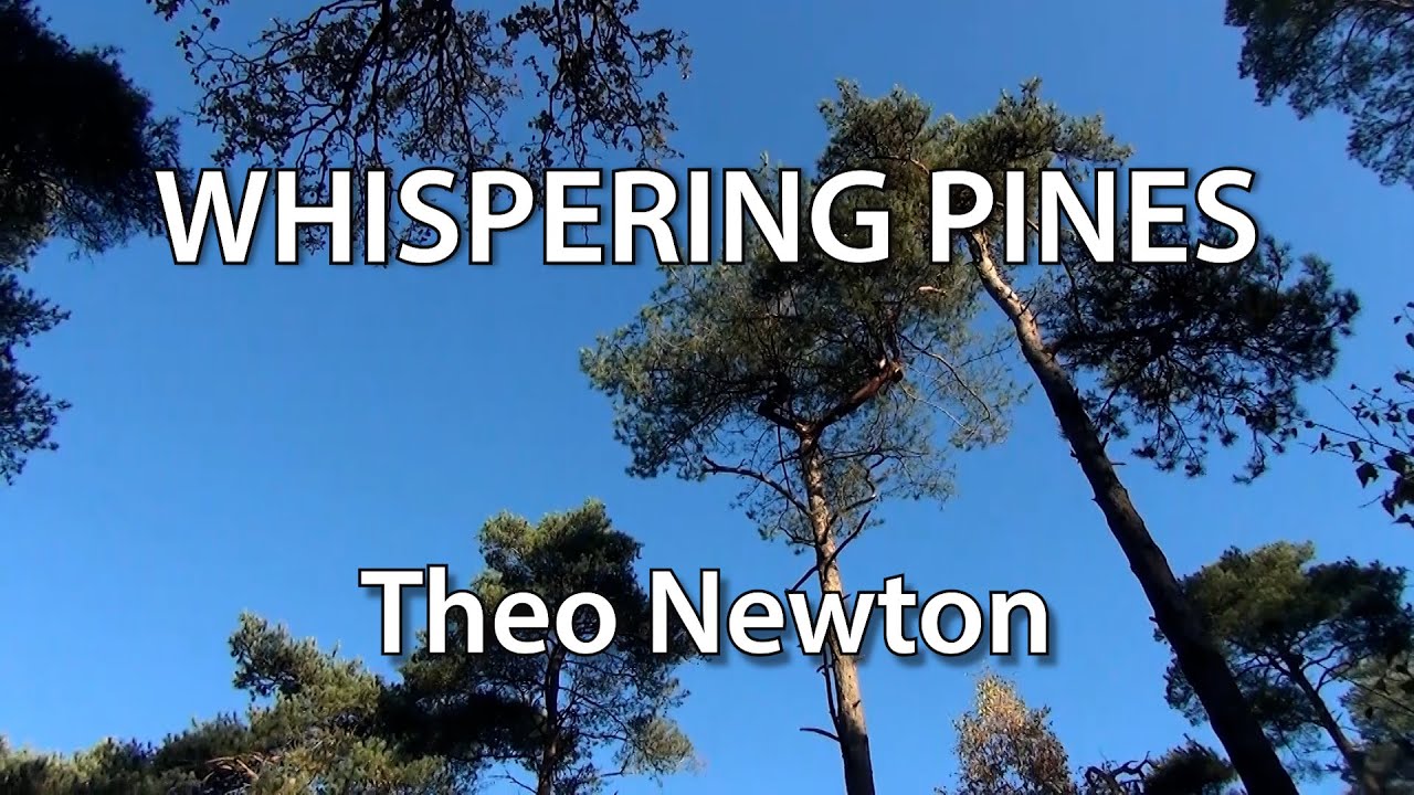 Песня Тео Ньютона «Whispering Pines». Лирический видеоклип.
