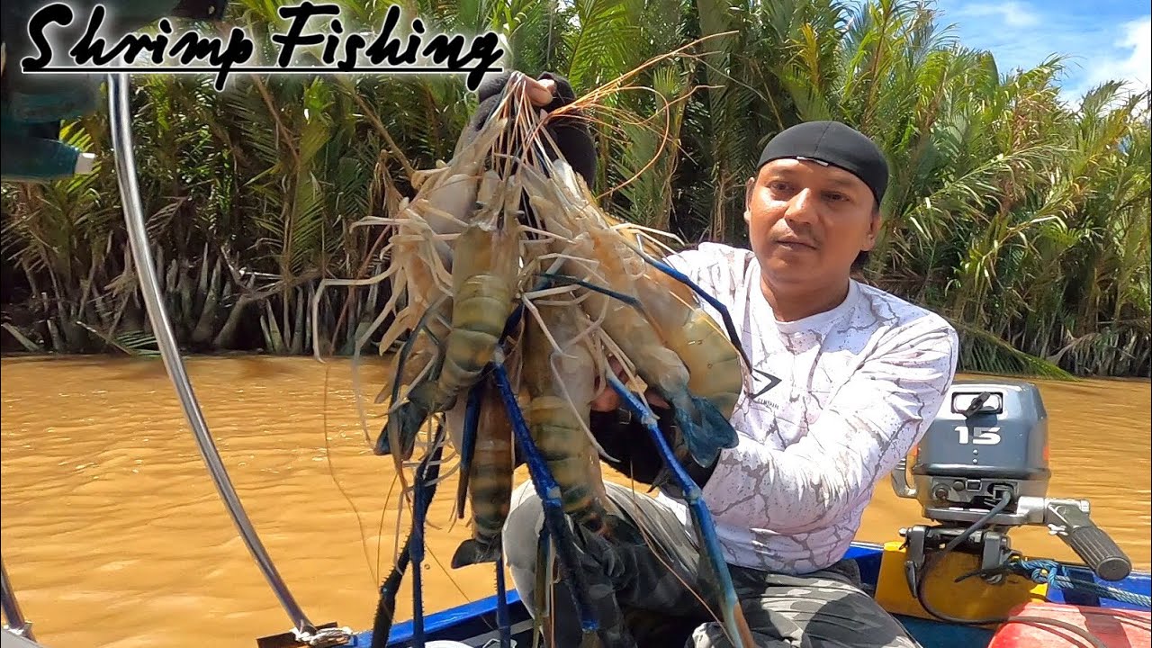 REZEKI‼️UDANG GALAH BERUKURAN BESAR SAYA DAPATKAN SAAT MUSIM KEMARAU | MANCING UDANG GALAH 2025