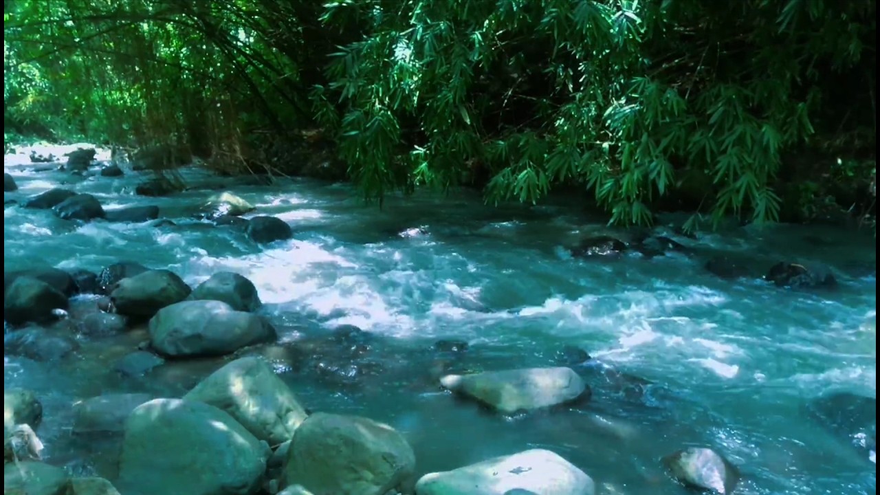Tranquil River Ambience – Soft Stream and Forest Sounds for Deep Sleep and Inner Peace