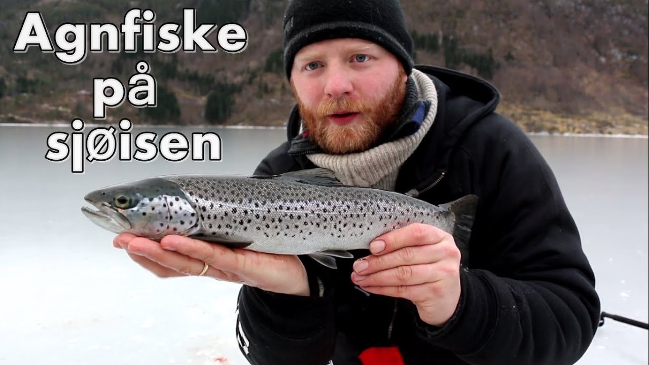 Agnfiske på sjøisen