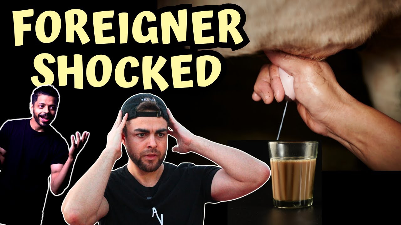 Norway tourist shocked by Indian Dairy farm | Dairy Exposed | Culture Difference | Voice of Vegans