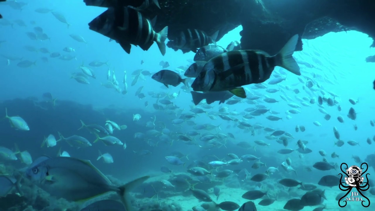 Isla De Lobos, Fuerteventura scuba diving (HD)