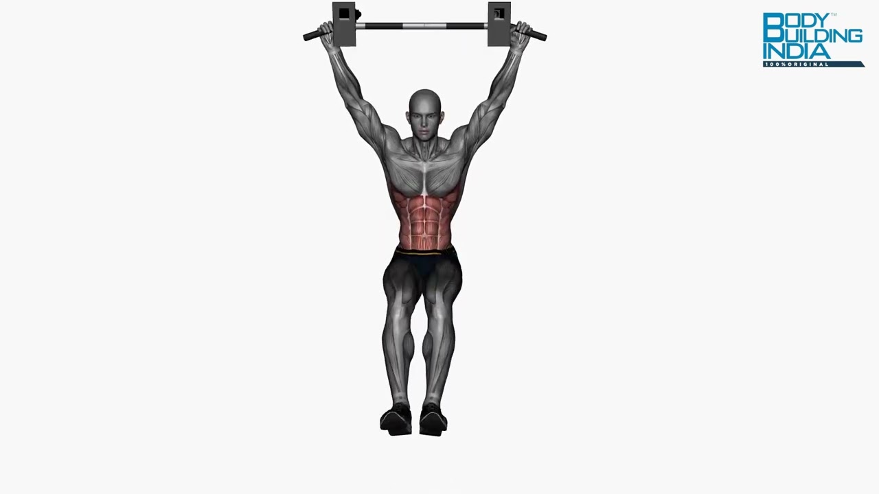 Abs Workout | Exercise 30 | Hanging Knee Raises | Bodybuilding India