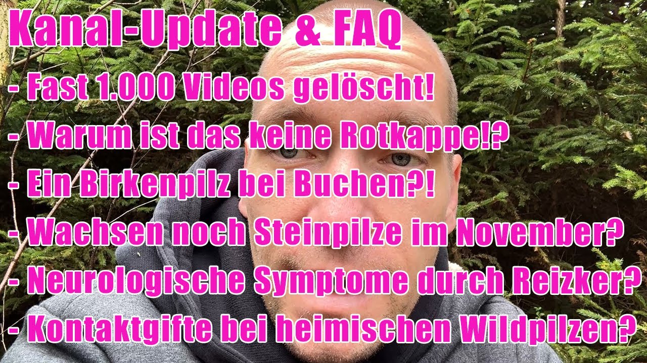 Fast 1.000 Videos gelöscht! Wachsen noch Steinpilze? Warum ist das keine Rotkappe?! Kanalupdate, FAQ