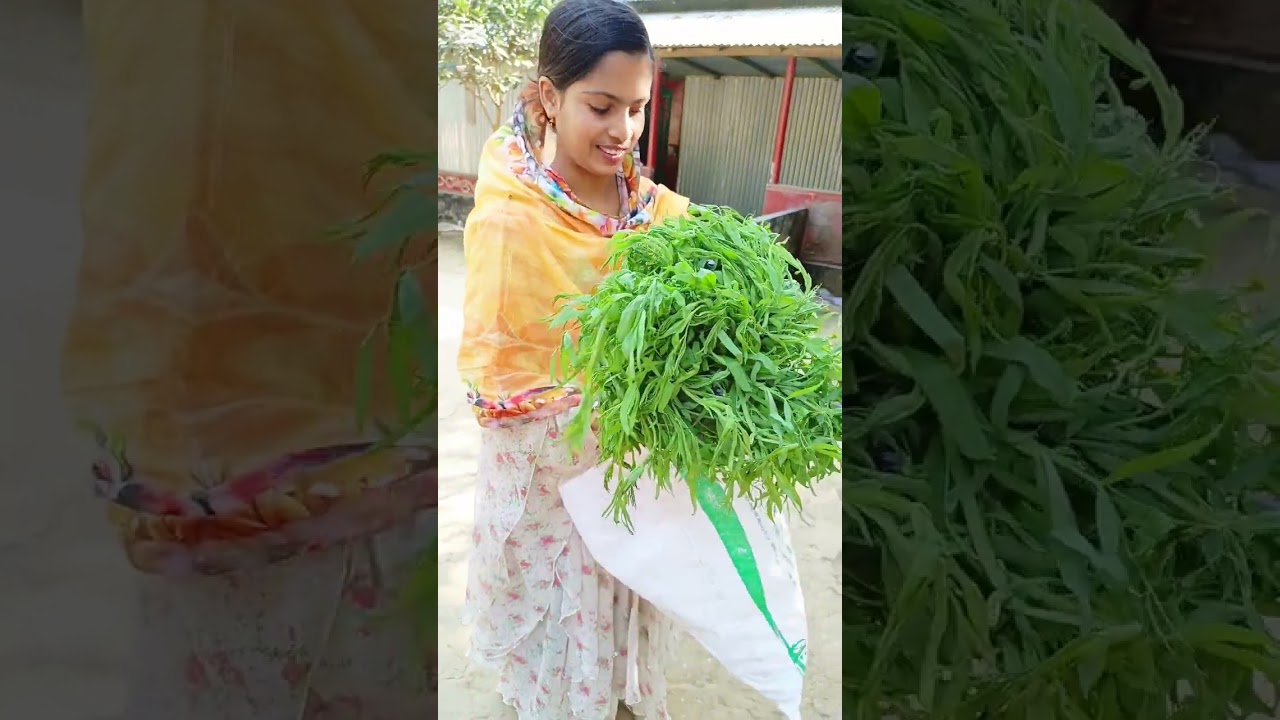 মেয়েকে খুশি রাখার চেষ্টা 