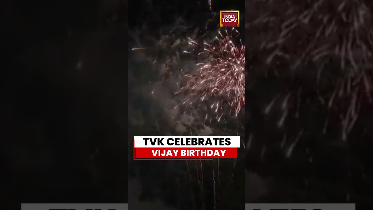 Vijay Birthday: TVK Holds Grand Celebration For Tamil Nadu CM C Joseph Vijay #tvk #tamilnadu