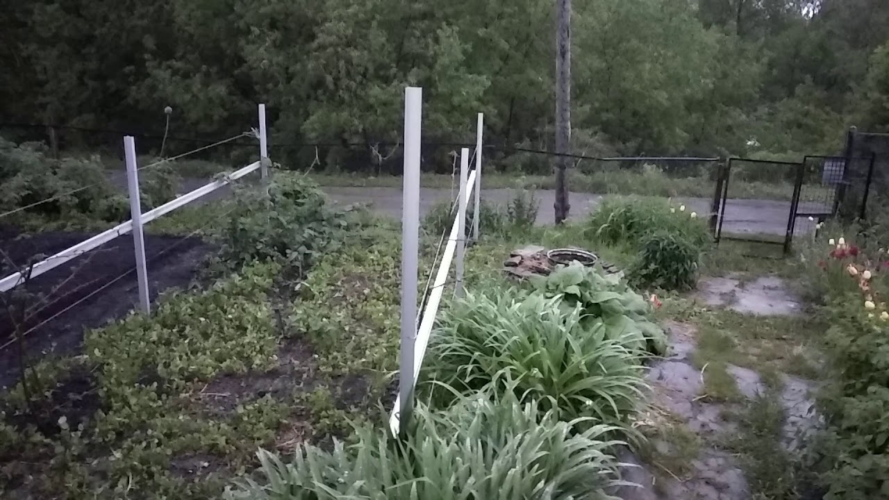 Разверзлись хляби небесные.Хор лягушек 