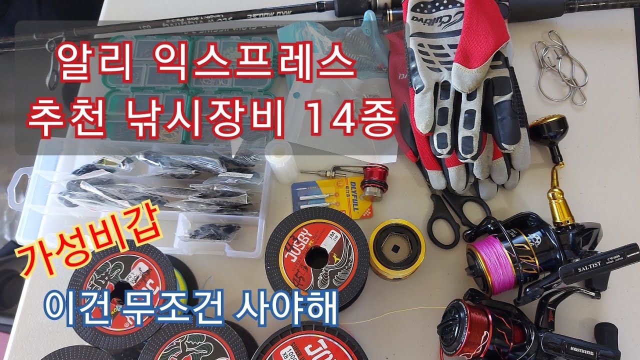 알리 가성비갑 낚시 아이템/ 알리에서 꼭 구매해야 하는 낚시장비/ 대륙의 실수 알리 익스프레스/ 뉴질랜드낚시/ 홀리코리안