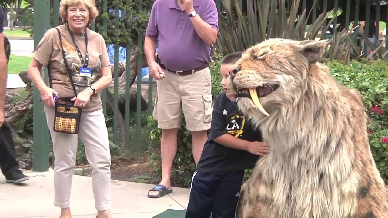Aren't Saber-Toothed Tigers Extinct?