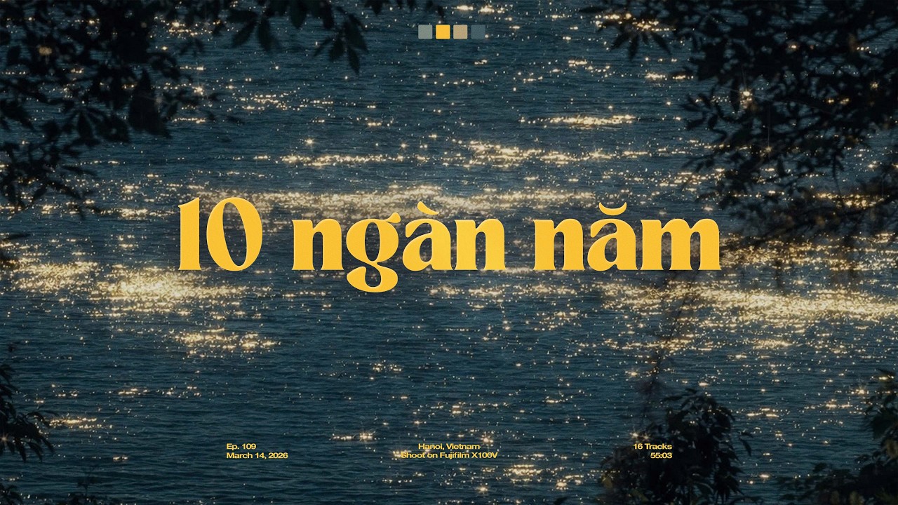 'mùa hạ năm ấy chưa từng rời đi, chỉ là tim ta đã thôi nhớ về' ☀️🍃 Playlist Nhạc Chill Mùa Hạ