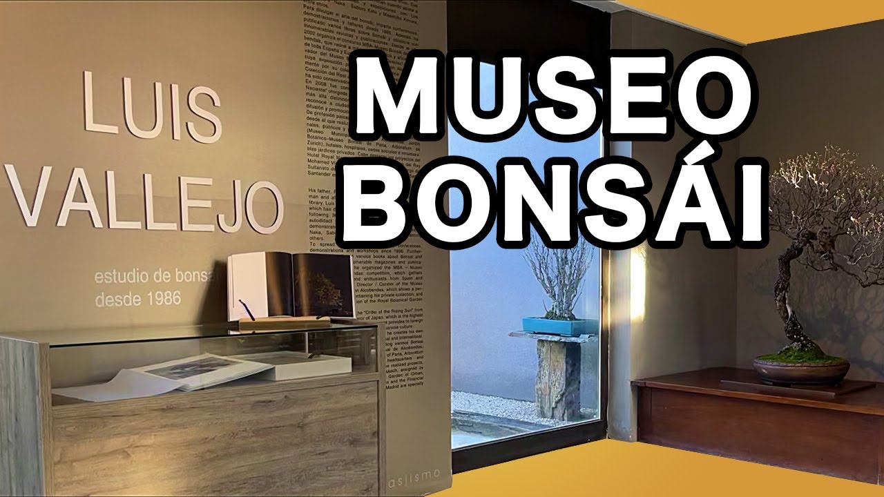 Museo Bonsái Luis Vallejo