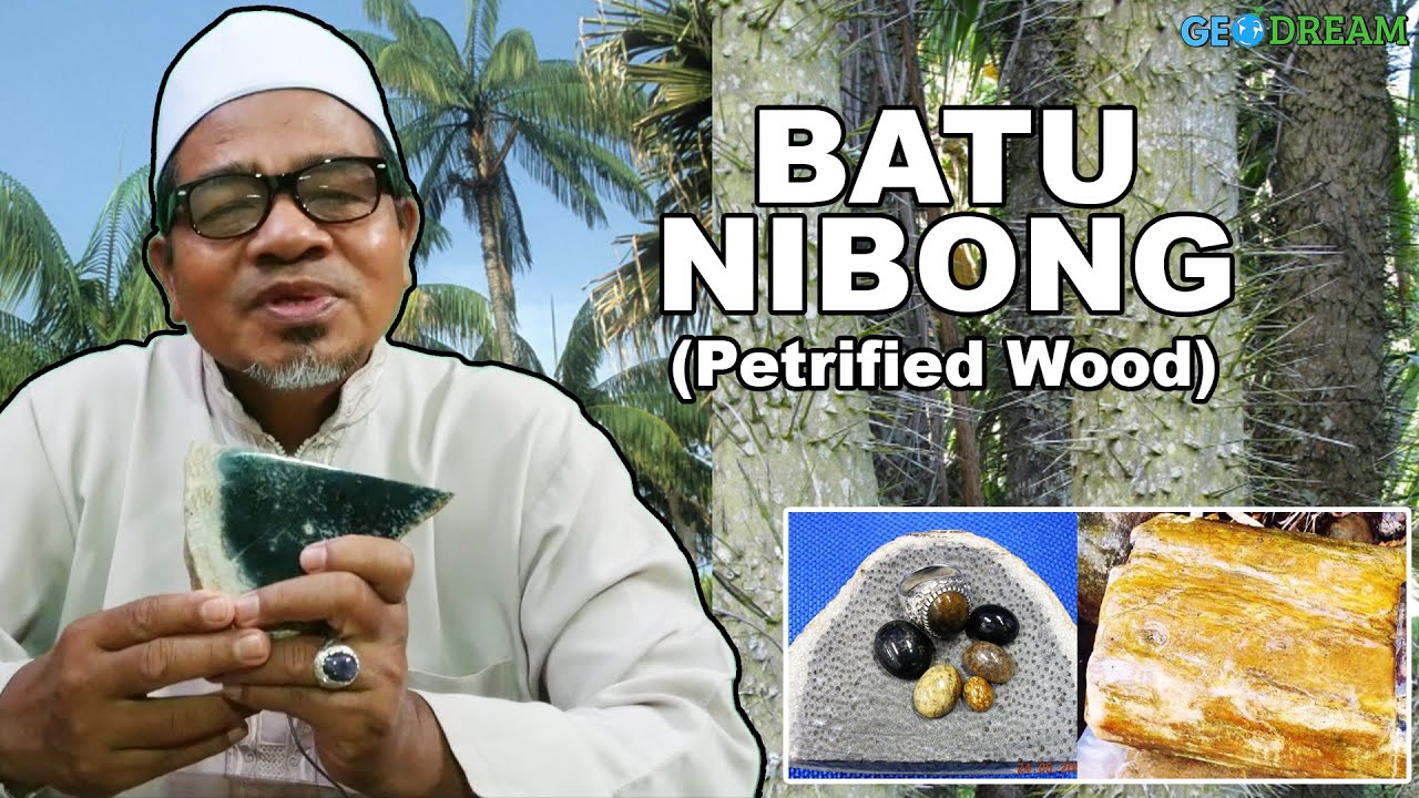 Batu Nibong