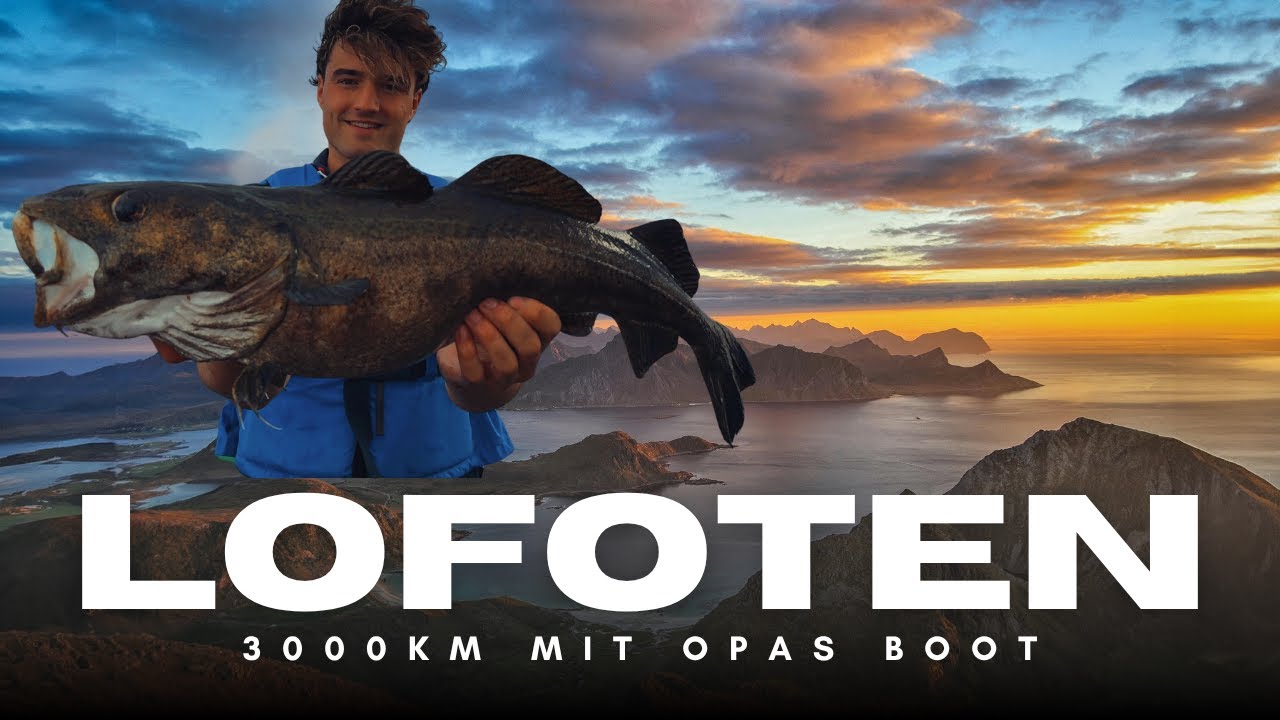Eigenes Boot, Polarkreis und fette Fische - Angeln in Nordnorwegen
