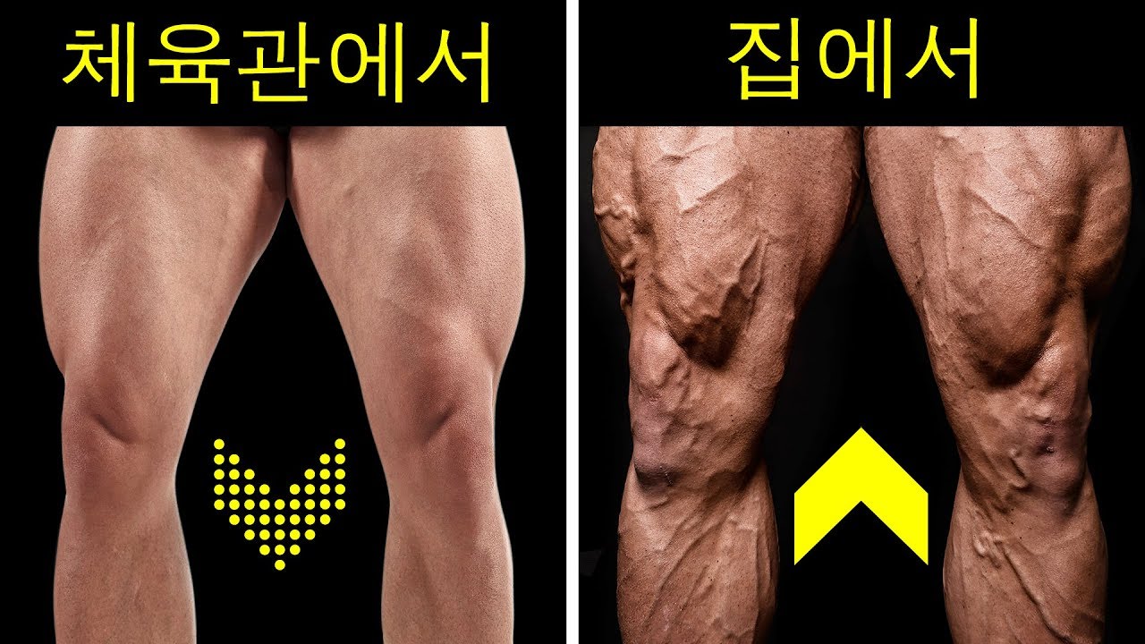 웨이트 없이 튼튼한 다리를 키우기 위해 집에서 할 수 있는 9분 운동