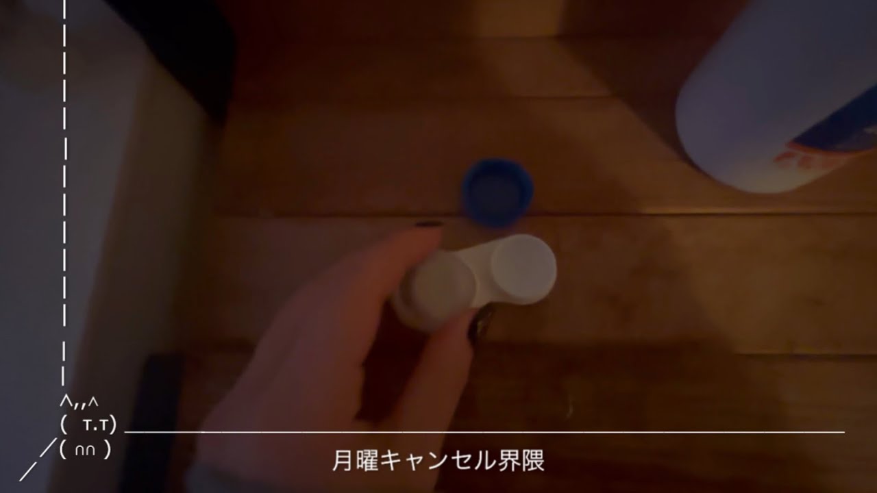 親に退職をすすめられる社会人の仕事休んだ日( ᴖ_ᴖ )