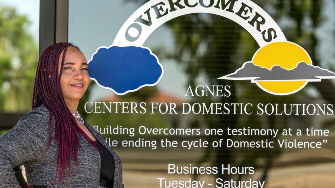 Agnes' Centers for Domestic Solutions