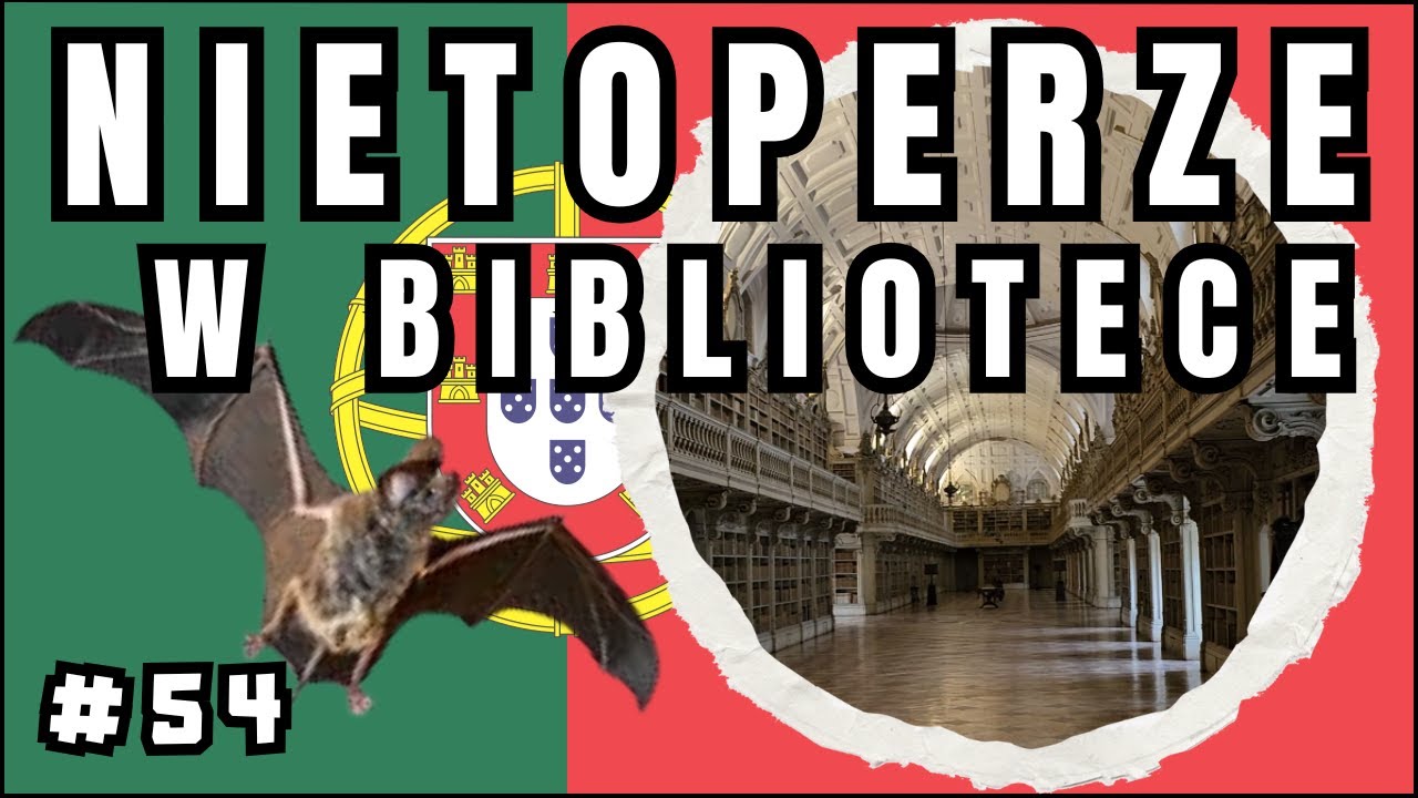 054 Portugalia - Mafra: ogromny pałac, jedyne abulatorium w Europie i biblioteka z nietoperzami