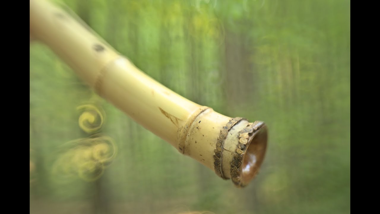 2.4 Shakuhachi for sale Josen (Jon Kypros) 4-23
