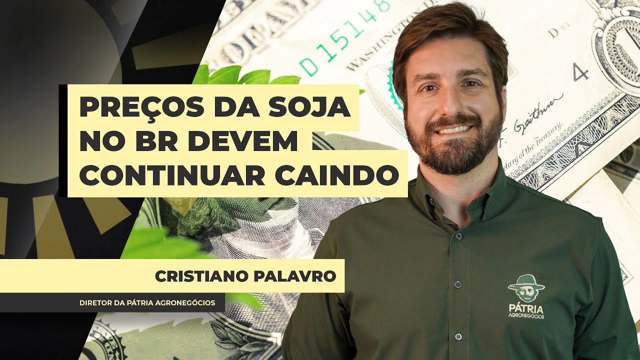 Mercado brasileiro da soja não se vale do fôlego na CBOT com pressão agressiva do dólar