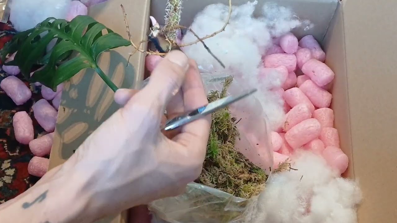 UNBOXING KLEINANZEIGEN