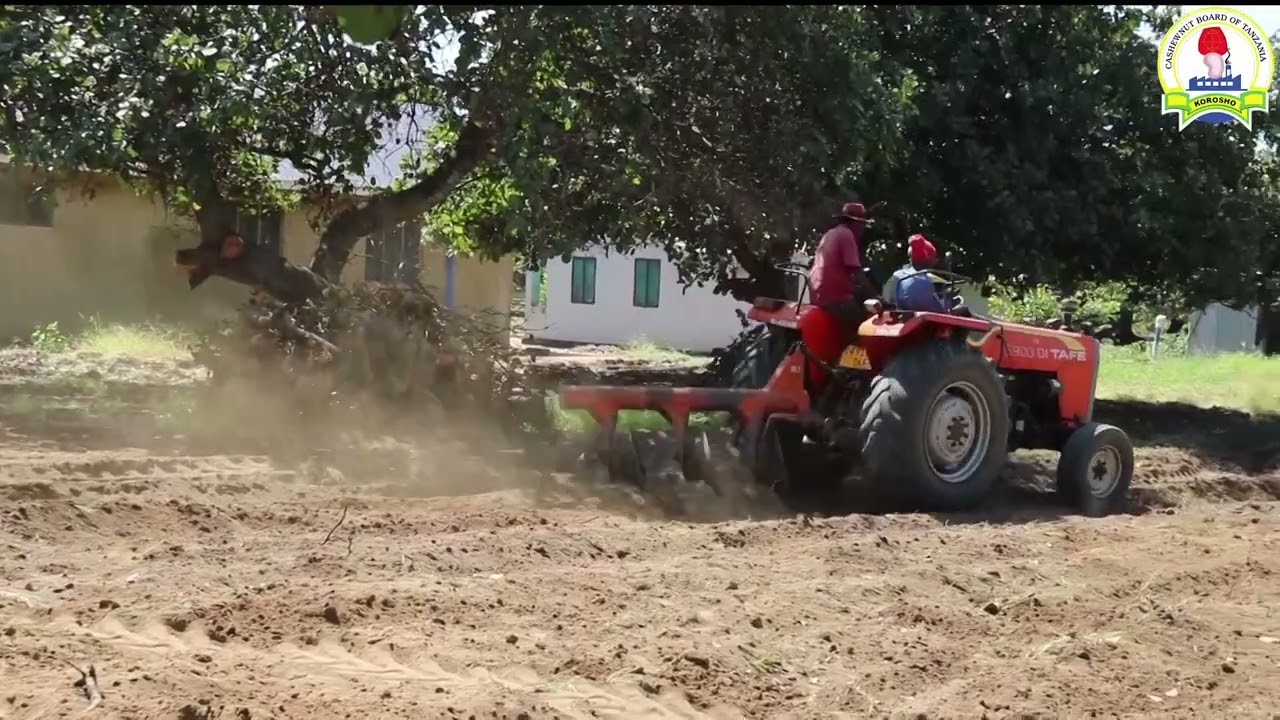 WAKULIMA WAZIDI KUITIKIA WITO WA UPOGOLEAJI NA UTIFULIAJI MASHAMBA YA KOROSHO