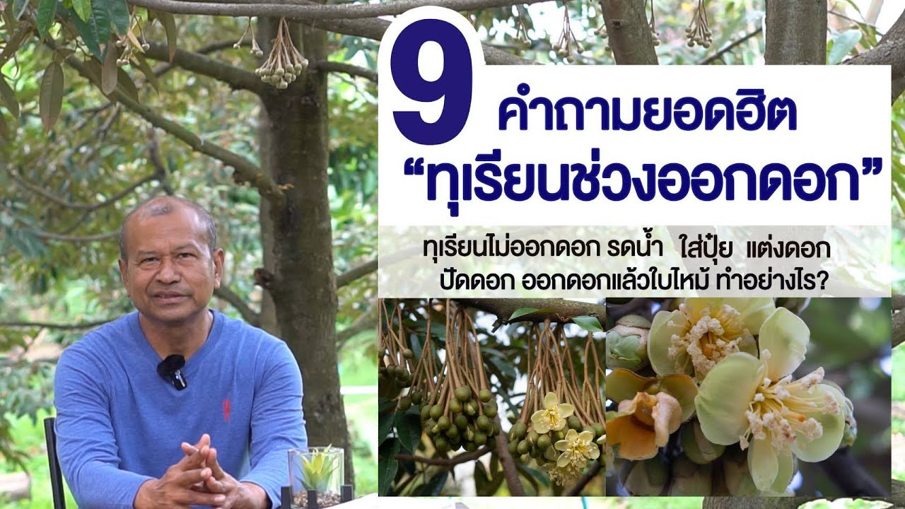 สวนตาก้าน ('67)  9 คำถามยอดฮิต 