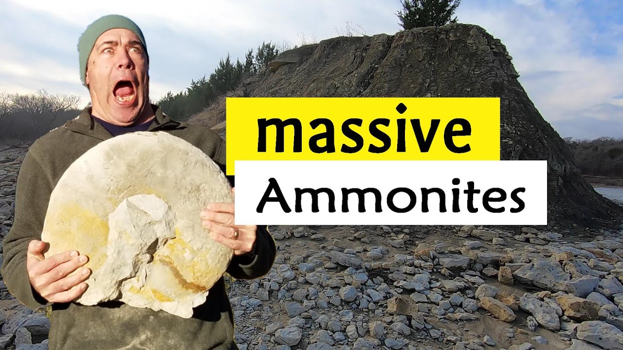 More ammonite fossil hunting at lake Texoma