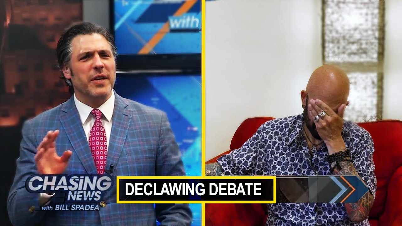 Cat Declawing Debate