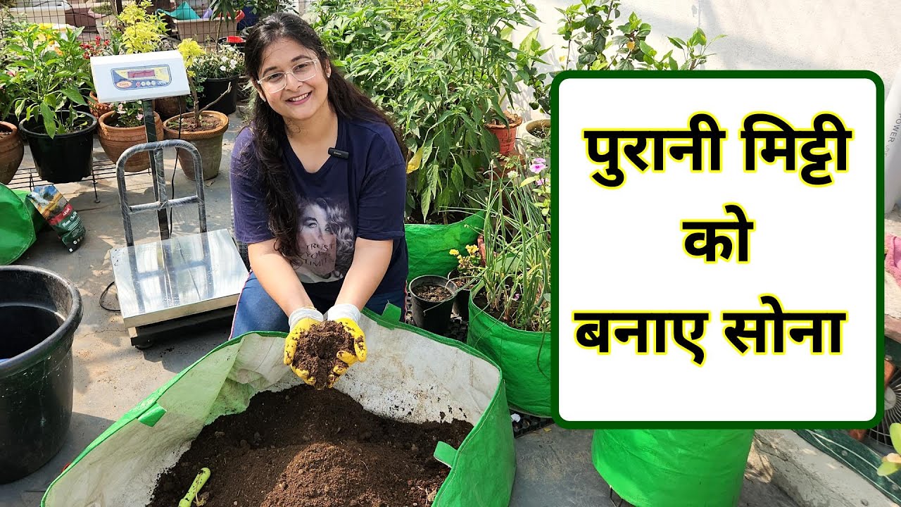 🔴RECHARGE & REUSE OLD SOIL ORGANICALLY पुरानी मिट्टी इस्तेमाल करे SOIL FOR PLANTS  #gardening #soil
