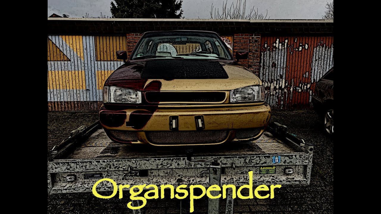 VW Polo 86c 2F Organspender gekauft #nz