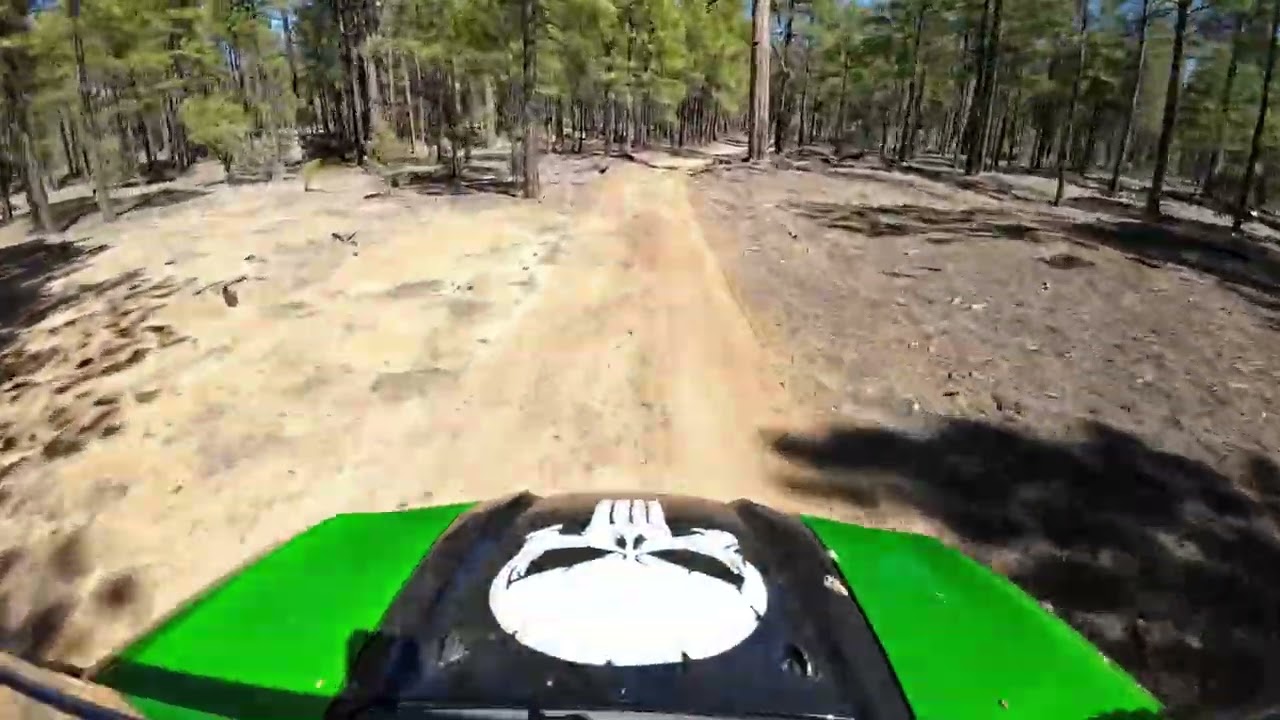 Mogollon Rim with Hambone