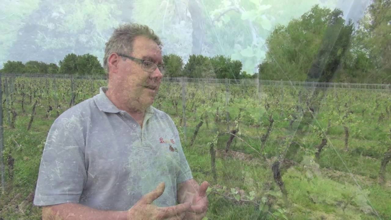 Ausbringung Magmasil Provinea Gesteinsmehle