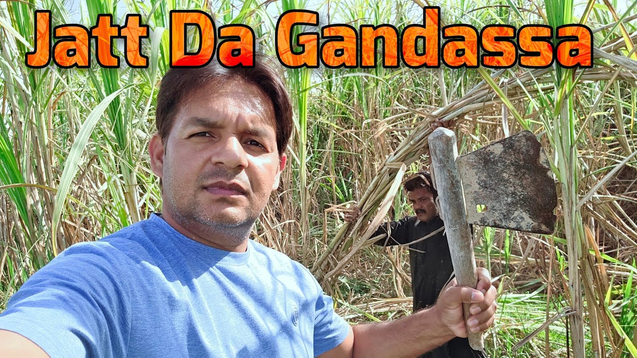 Moula Jatt da Gandassa