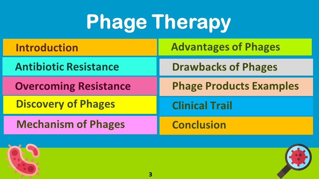 Phage Therapy Dr Mahmoud Said