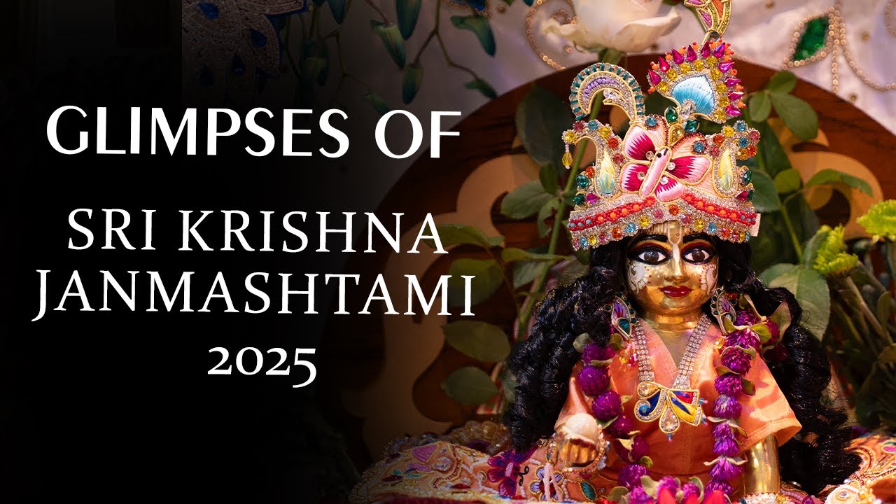 Glimpses of Sri Krishna Janmashtami 2025 | GIVE GITA