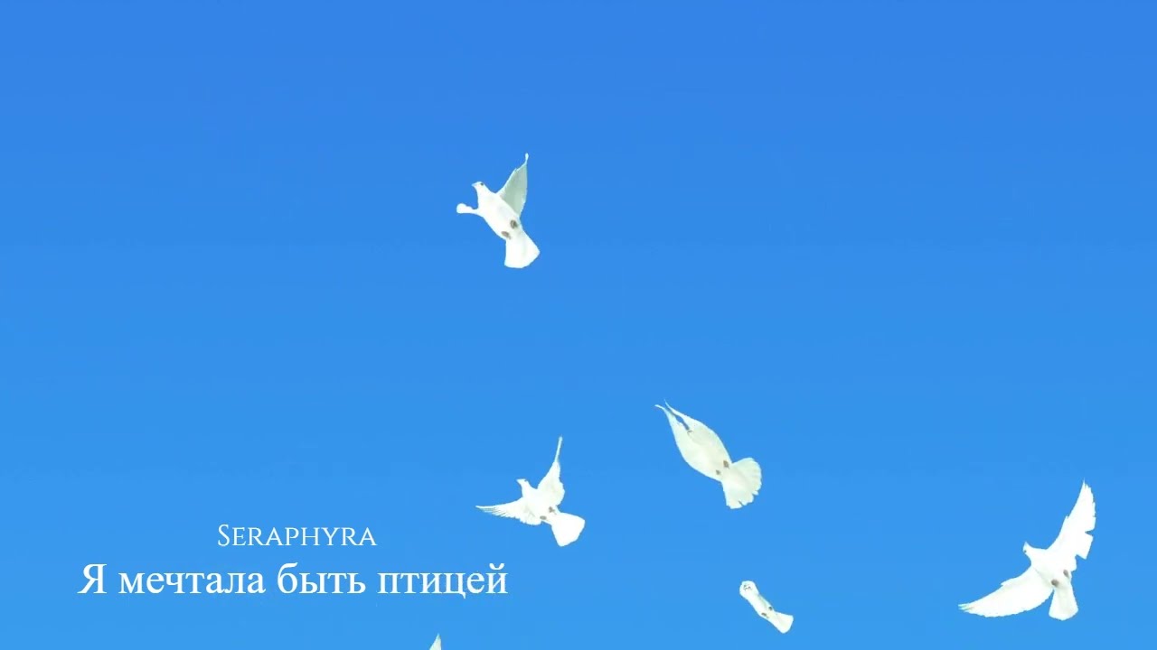 Я мечтала быть птицей❤️ Песня о мечтах и чувствах