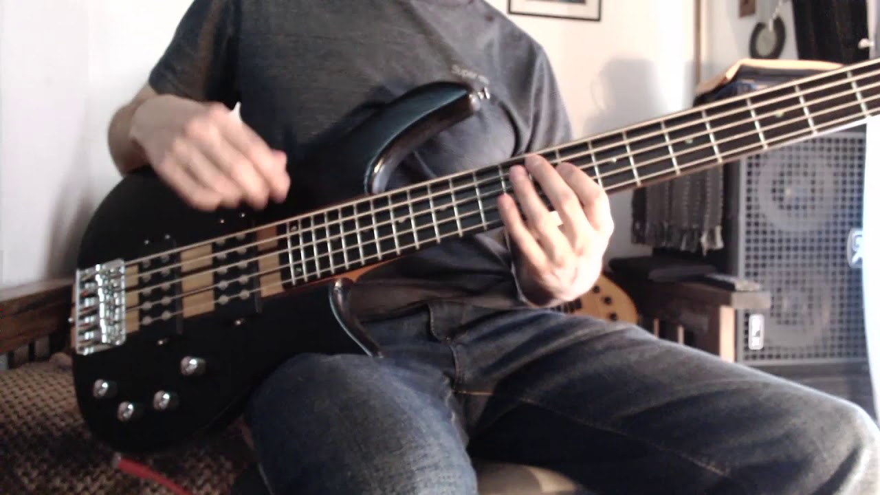 Review bajo Field Groover Instrumentos