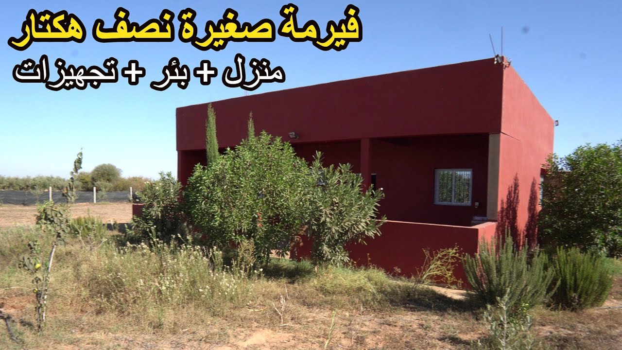 ✨فيرمة صغيرة نصف هكتار بدار وتجهيزات وعدة اشجار قرب الجيران ومنطقة امنة ✨تيفلت