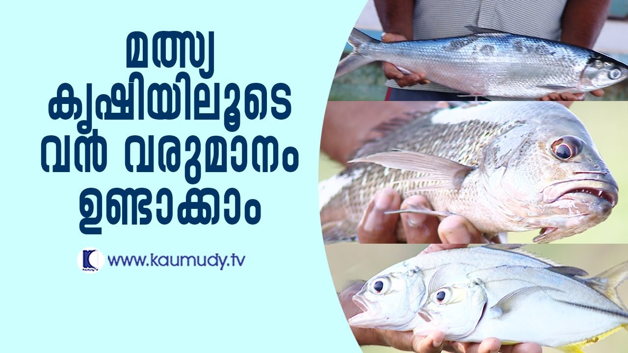Huge profit from fish farming | Haritham Sundaram EP 115 | Kaumudy TV