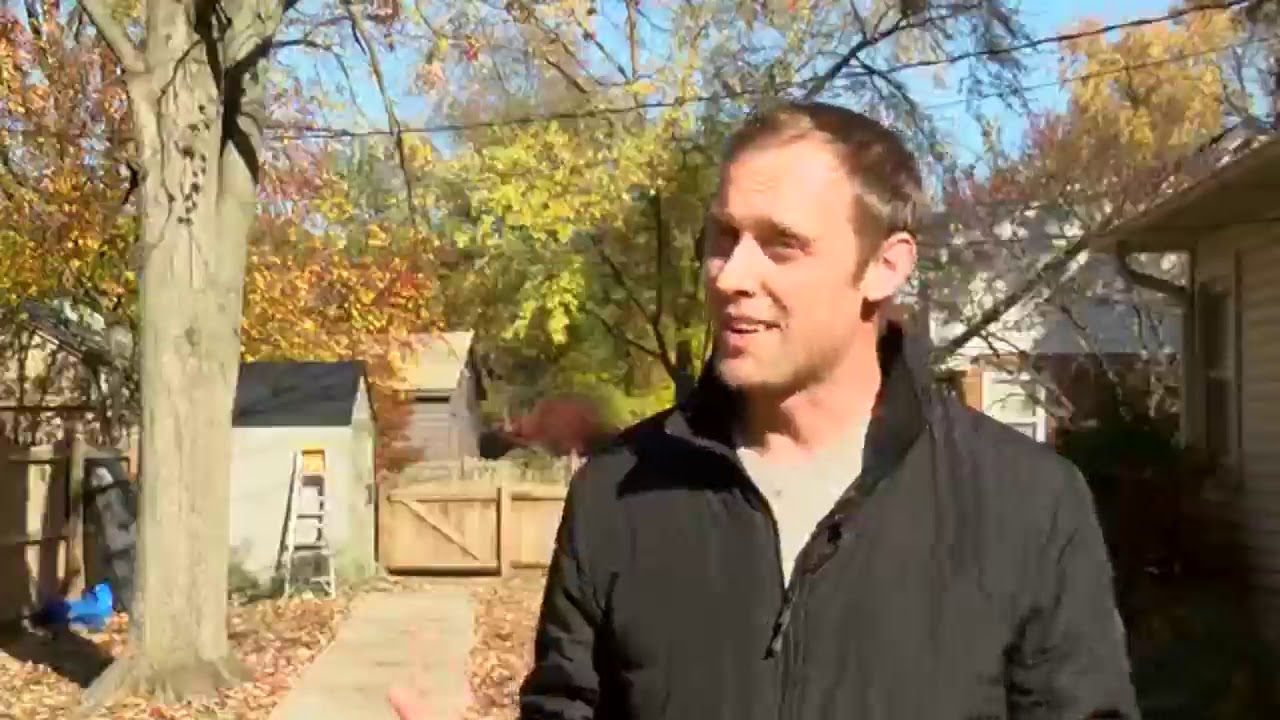 Should you clean up the debris in your yard?