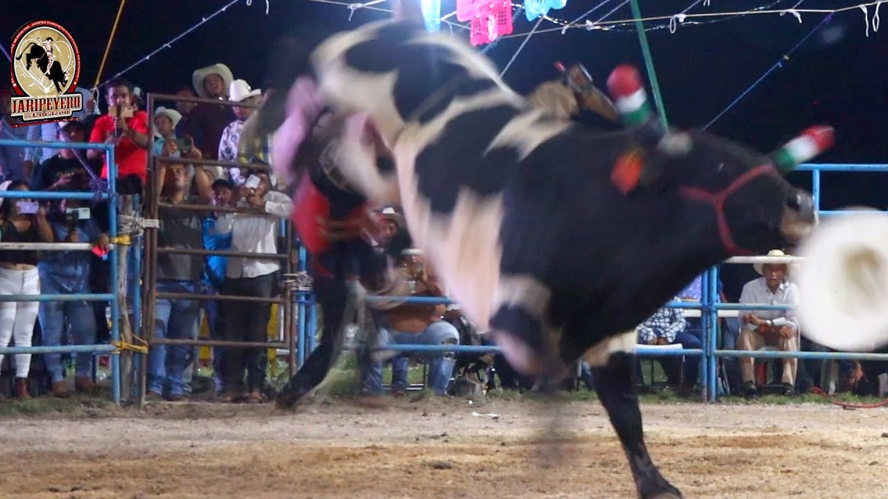¡¡LO MEJOR DE LO MEJOR!! Rancho El Canelo En Pololcingo Gro 2024