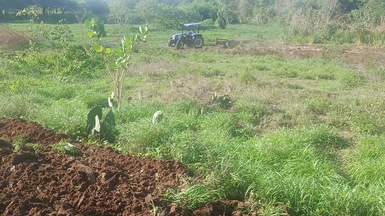 Depois da terra arada vamos começar o plantio de milho no nosso sítio #pecuarista #fazenda 