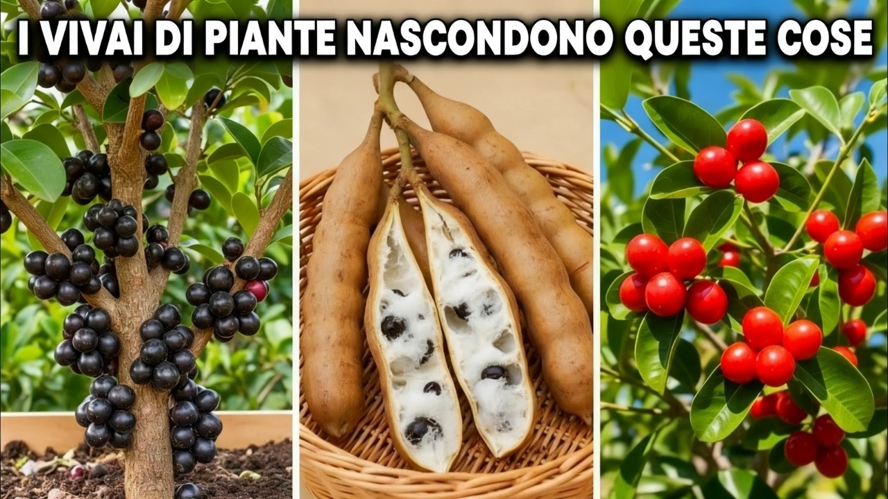 7 piante da frutto che producono il DOPPIO — e che nessuno vende