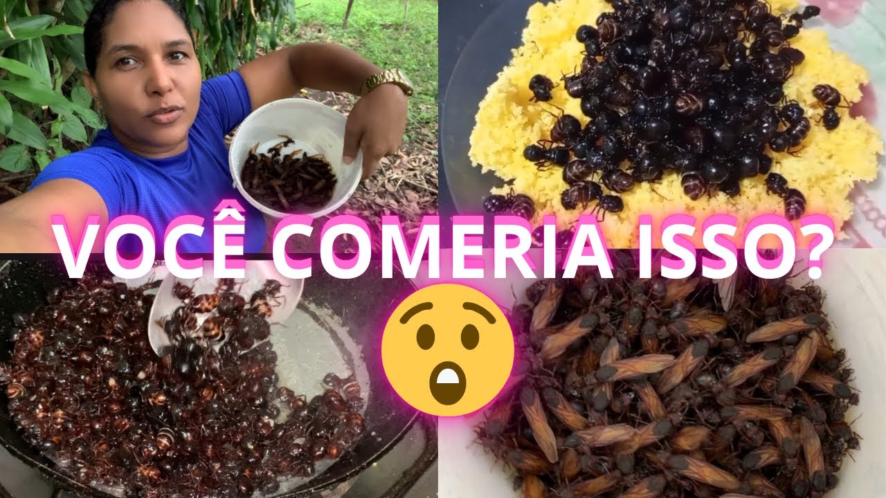 PEGAMOS TANAJURA E COMEMOS 😳💰 Essa Formiga Vale uma FORTUNA!Você Teria Coragem? 