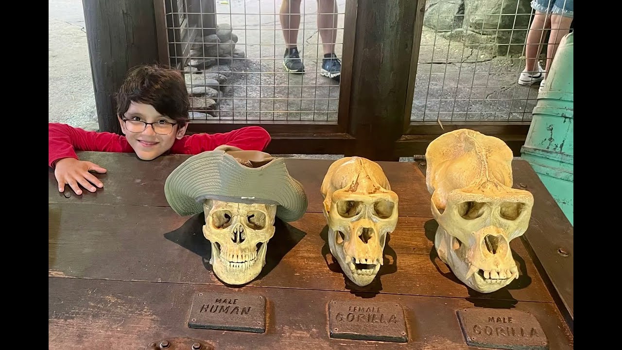 Disney World   Animal Kingdom 10/2023