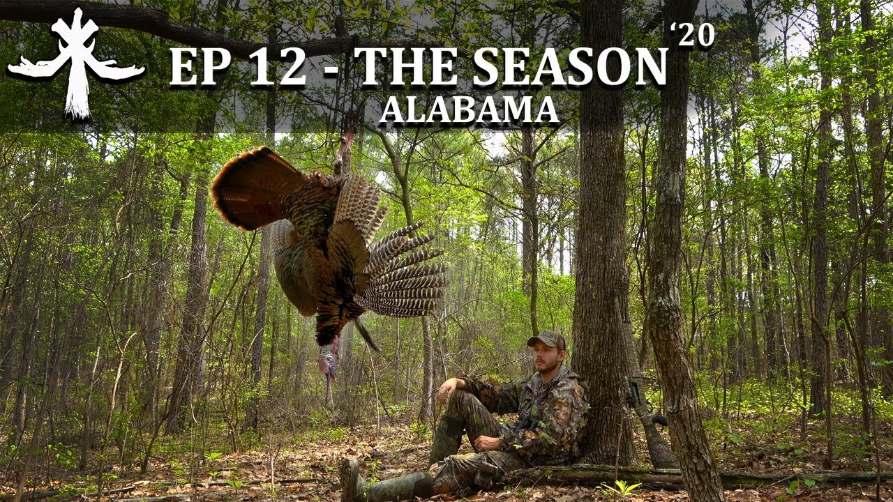 QUICK DRAWING ON AN ALABAMA GOBBLER