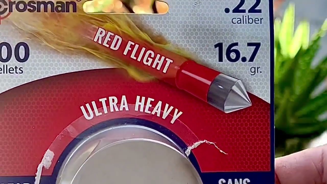 Crosman Red Flight & Crosman 362 Chronographed