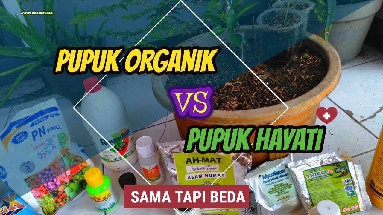 Pupuk Organik VS Agen / Pupuk Hayati, Agar Tanaman Subur Pahami Ini!