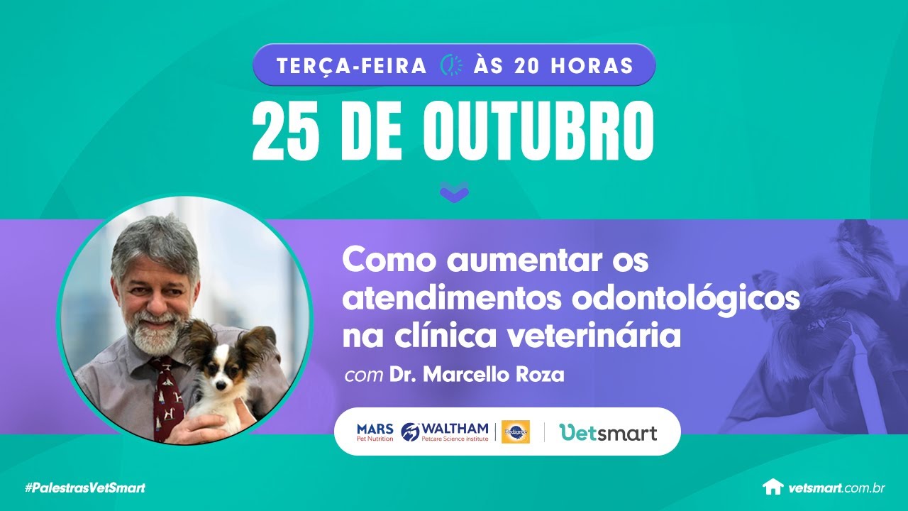 Como aumentar os atendimentos odontológicos na clínica veterinária