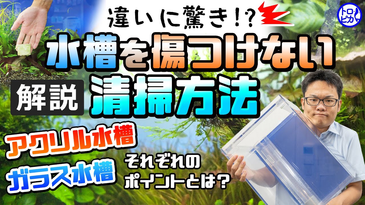 【違いに驚き！】水槽を傷つけない清掃方法！ガラスとアクリルそれぞれポイントを解説！
